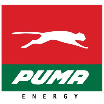 Aceite Puma Advanced 5w-30 4l